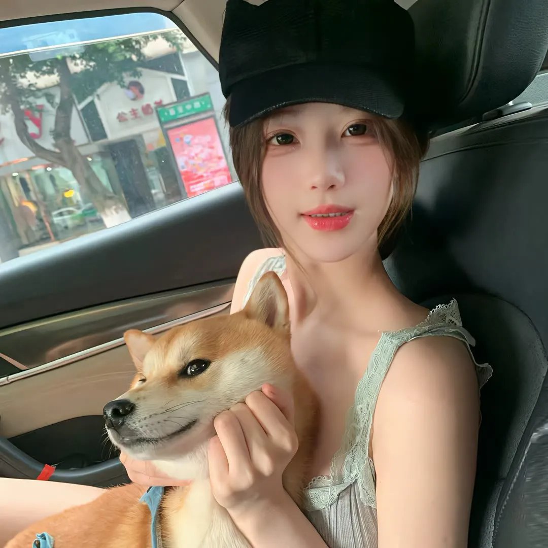豺狼的日子