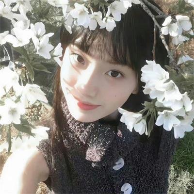 铆钉狂想曲